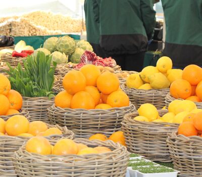 Frische Orangen und Zitronen